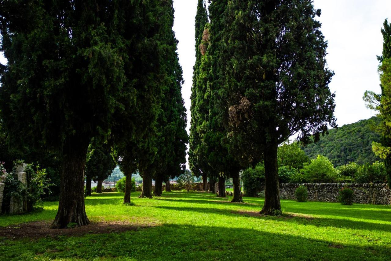 גרצאנה Villa Carrara Salvadori מראה חיצוני תמונה